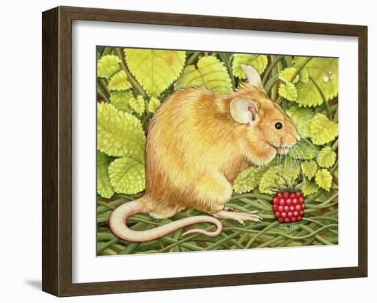 The Raspberry-Mouse-Ditz-Framed Giclee Print