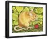 The Raspberry-Mouse-Ditz-Framed Giclee Print