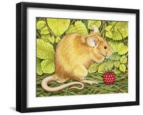 The Raspberry-Mouse-Ditz-Framed Giclee Print