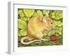 The Raspberry-Mouse-Ditz-Framed Giclee Print