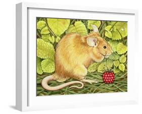 The Raspberry-Mouse-Ditz-Framed Giclee Print