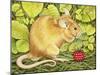 The Raspberry-Mouse-Ditz-Mounted Giclee Print