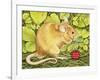 The Raspberry-Mouse-Ditz-Framed Giclee Print