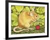 The Raspberry-Mouse-Ditz-Framed Giclee Print