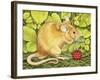 The Raspberry-Mouse-Ditz-Framed Giclee Print