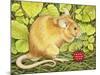 The Raspberry-Mouse-Ditz-Mounted Giclee Print