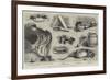 The Rat Plague in the Country-null-Framed Giclee Print