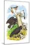 The Raven-Theodore Jasper-Mounted Art Print
