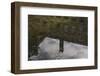 The Ravensberger Spinnerei in Bielefeld in the Ravensberger park.-Nadja Jacke-Framed Photographic Print