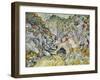 The Ravine of the Peyroulets, 1889-Vincent van Gogh-Framed Giclee Print