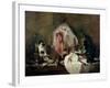 The Ray Or, the Kitchen Interior, 1728-Jean-Baptiste Simeon Chardin-Framed Giclee Print