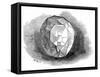 The Re-Cut Koh-I-Noor Diamond, 1852-null-Framed Stretched Canvas