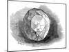 The Re-Cut Koh-I-Noor Diamond, 1852-null-Mounted Photographic Print