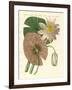 The Real Lotus Plant-null-Framed Giclee Print