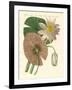 The Real Lotus Plant-null-Framed Giclee Print