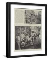 The Rebellion in Cuba-null-Framed Giclee Print