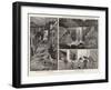 The Recent Disastrous Floods at Hong Kong-null-Framed Giclee Print