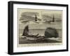 The Recent Disastrous Gales, the Wreck of the Iron Sailing Ship Plassey Off Sandgate-null-Framed Giclee Print