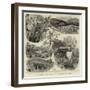 The Recent Discoveries of Gold Near Dolgelly, Wales-null-Framed Giclee Print