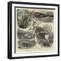 The Recent Discoveries of Gold Near Dolgelly, Wales-null-Framed Giclee Print