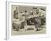 The Recent Excavations in Rome, Discovery of the House of the Vestal Virgins-null-Framed Giclee Print