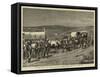 The Recent Revolt in the Transvaal, Survivors of Bronker's Spruit Returning to the British Lines-Charles Edwin Fripp-Framed Stretched Canvas