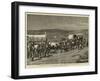 The Recent Revolt in the Transvaal, Survivors of Bronker's Spruit Returning to the British Lines-Charles Edwin Fripp-Framed Giclee Print