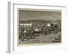 The Recent Revolt in the Transvaal, Survivors of Bronker's Spruit Returning to the British Lines-Charles Edwin Fripp-Framed Giclee Print