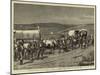 The Recent Revolt in the Transvaal, Survivors of Bronker's Spruit Returning to the British Lines-Charles Edwin Fripp-Mounted Giclee Print