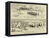 The Recent Revolt in the Transvaal-Charles Edwin Fripp-Framed Stretched Canvas