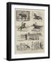 The Recent Revolution in the Argentine Confederation, Sketches in Buenos Ayres-Alfred Chantrey Corbould-Framed Giclee Print