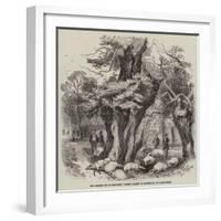 The Recent Thunderstorm, Sheep Killed by Lightning in Hyde Park-null-Framed Giclee Print