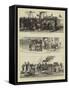 The Recent War in Egypt-Charles Joseph Staniland-Framed Stretched Canvas