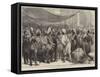 The Reception of the Prince of Wales at Calcutta-null-Framed Stretched Canvas