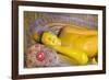 The Reclining Buddha at the Asgiriya Monastery-Jon Hicks-Framed Photographic Print