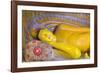 The Reclining Buddha at the Asgiriya Monastery-Jon Hicks-Framed Photographic Print