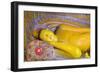 The Reclining Buddha at the Asgiriya Monastery-Jon Hicks-Framed Photographic Print