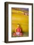 The Reclining Buddha at the Asgiriya Monastery-Jon Hicks-Framed Photographic Print