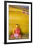 The Reclining Buddha at the Asgiriya Monastery-Jon Hicks-Framed Photographic Print