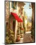 The Red Awning-Steven Harvey-Mounted Art Print