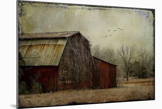 the Red Barn-Barbara Simmons-Mounted Giclee Print