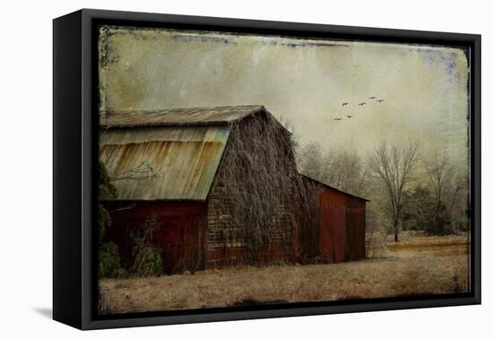 the Red Barn-Barbara Simmons-Framed Stretched Canvas