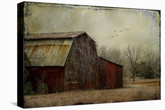 the Red Barn-Barbara Simmons-Stretched Canvas