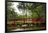 The Red Bridge-Danny Head-Framed Art Print