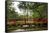 The Red Bridge-Danny Head-Framed Stretched Canvas