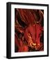 The Red Bull-Rabi Khan-Framed Art Print