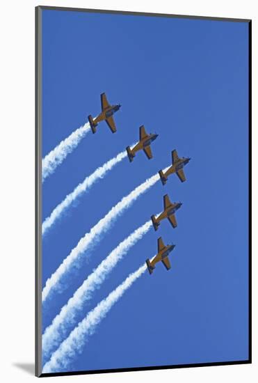 The Red Checkers Aerobatic Display Team with CT-4B Airtrainers-David Wall-Mounted Photographic Print