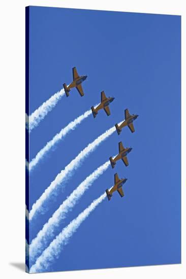 The Red Checkers Aerobatic Display Team with CT-4B Airtrainers-David Wall-Stretched Canvas