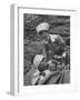 The Red Cross Nurse Trying to Help the Injured Man Eat and Drink-Allan Grant-Framed Photographic Print