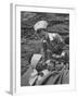 The Red Cross Nurse Trying to Help the Injured Man Eat and Drink-Allan Grant-Framed Photographic Print